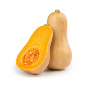  Butternut très grosse (1.8-2 kg)