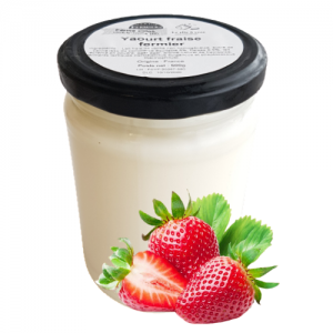  Yaourt fraise (500g) DLC courte 23/05