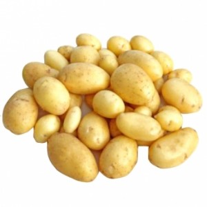 Pommes de terre nouvelles agata (500g)