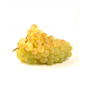  Raisin blanc exalta sans pépin (500g)