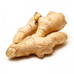  Gingembre frais (80-100g env.)