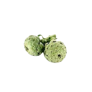 Artichaut camus (la pièce - 500g env.)