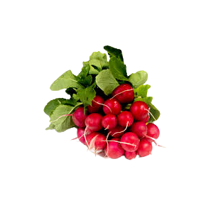  Radis rond rouge botte avec feuilles jaunies (300g env.)