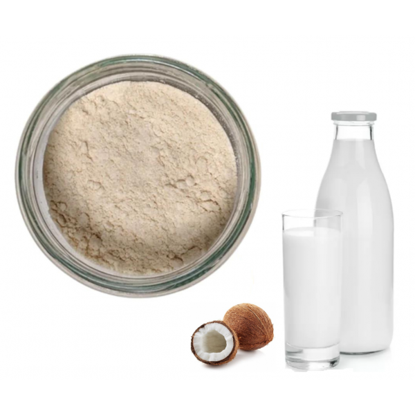 Préparation instantanée pour lait de coco biologique 120 g