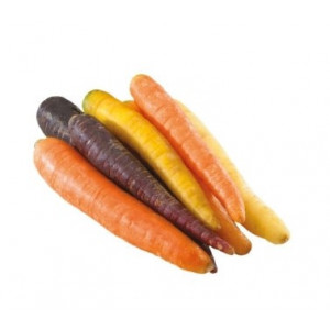  Carottes mix - oranges/rouges/jaunes (500g)