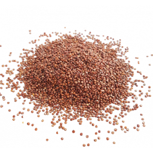  Quinoa rouge (500g)