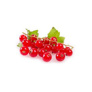  Groseille (125g)
