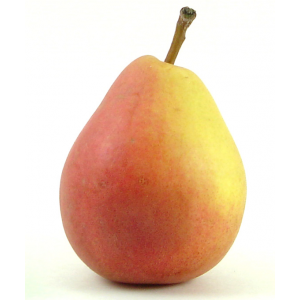  Poires beurrés gris de Luçon (1 kg)