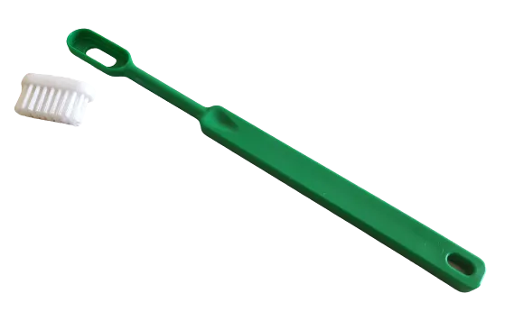 Brosse à dents bioplastique verte rechargeable