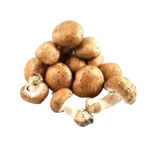 Champignons de Paris bruns