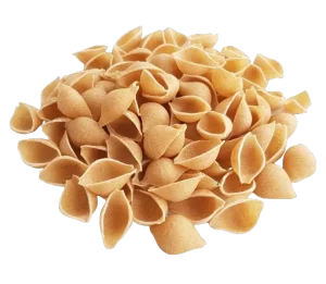 Conchiglies semi-complètes