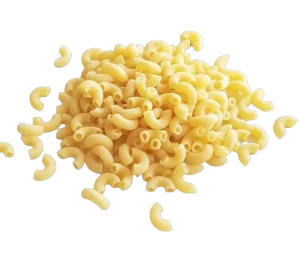 Coquillettes blanches