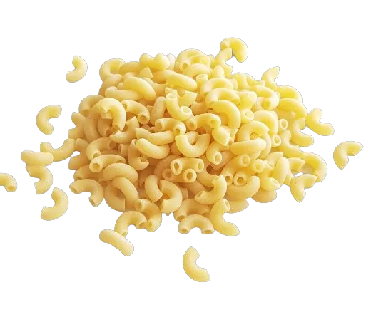 Coquillettes blanches