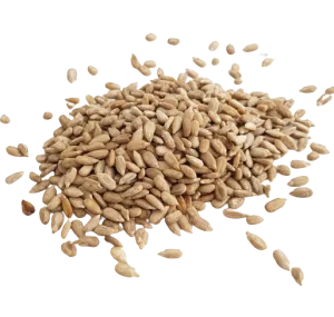 Graines de tournesol décortiquées