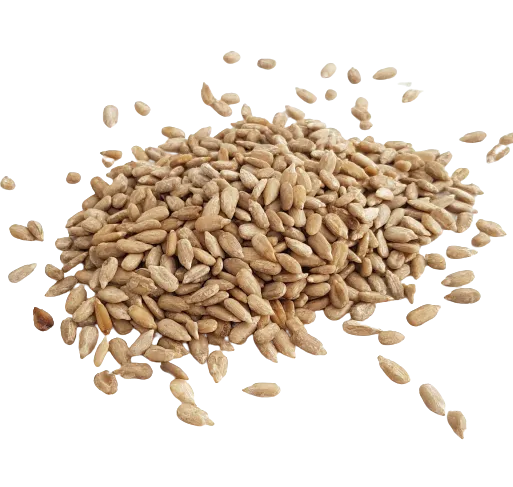 Graines de tournesol décortiquées