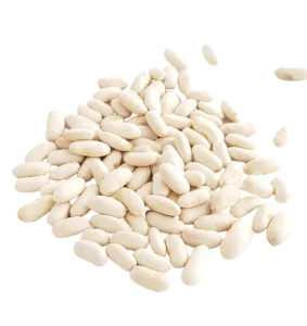 Haricots blancs lingots