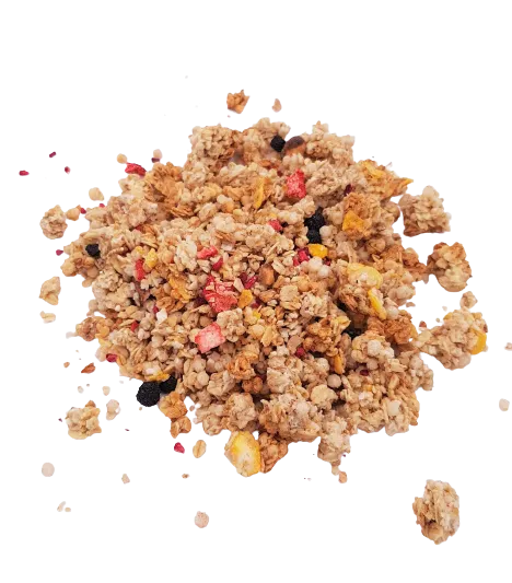 Krounchy aux fruits rouges