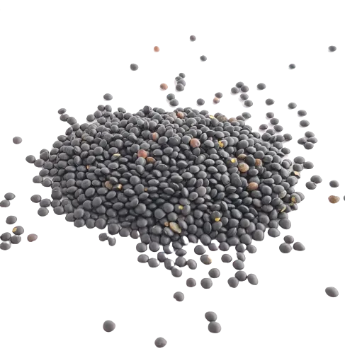 Lentilles noires beluga