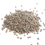 Lentilles vertes