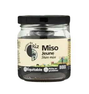 Miso jeune