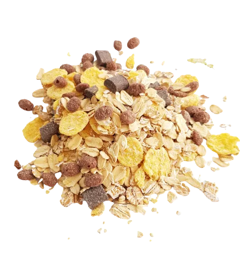 Muesli au chocolat noir