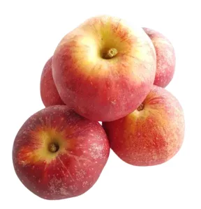 Pomme royal gala