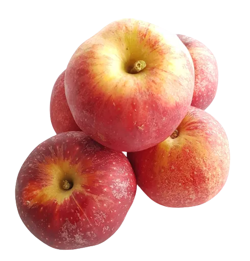 Pomme royal gala