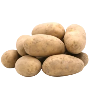 Pommes de terre Agria - fondante spéciale frites