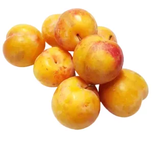 Prunes TC Sun