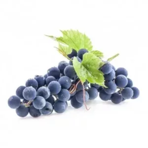 Raisin noir Muscat de Hambourg