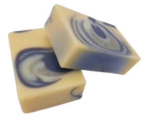 Savon/shampoing tonic fraicheur