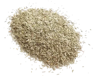 Thym feuille de France