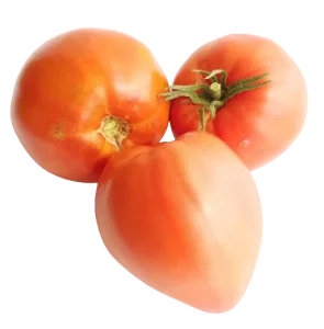 Tomates allongées rouges