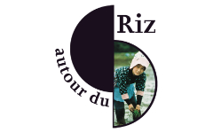 Autour du riz