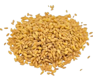 Blé précuit mondé