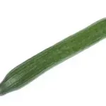 Concombre