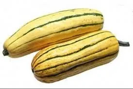 Courges delicata x2