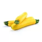 Courgettes jaunes