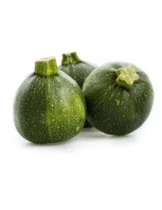 Courgettes rondes x2