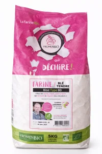Farine de blé T80 sac