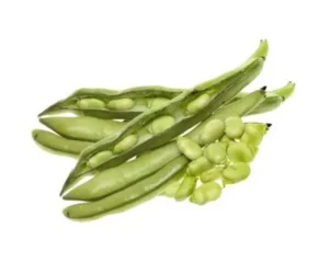 Fèves