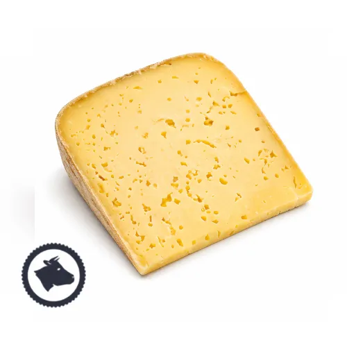 Gouda
