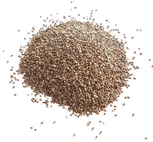 Graines de chia FRANCE