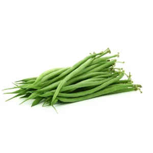 Haricots verts frais - récolte main