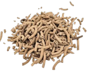 Macaronis au sarrasin