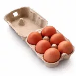 Oeufs x6