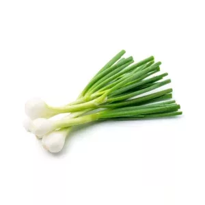 Oignons blancs botte feuilles fatiguées