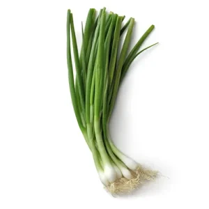 Oignons cébettes bottes