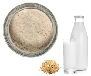 Préparation instantanée pour lait d'avoine