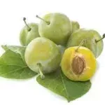 Prunes reine claude